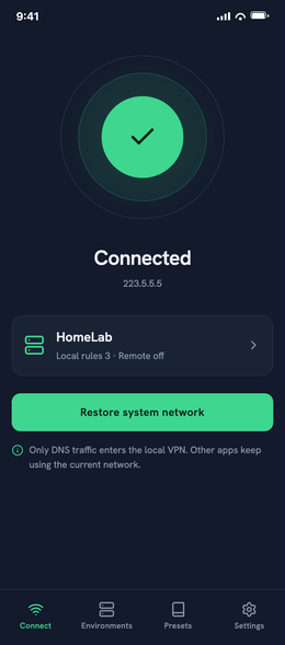 DNS Hosts mobile design preview showing a connected HomeLab environment.